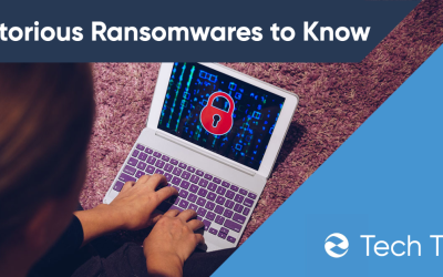 Most Notorious Ransomware in 2022 and History You Should Know